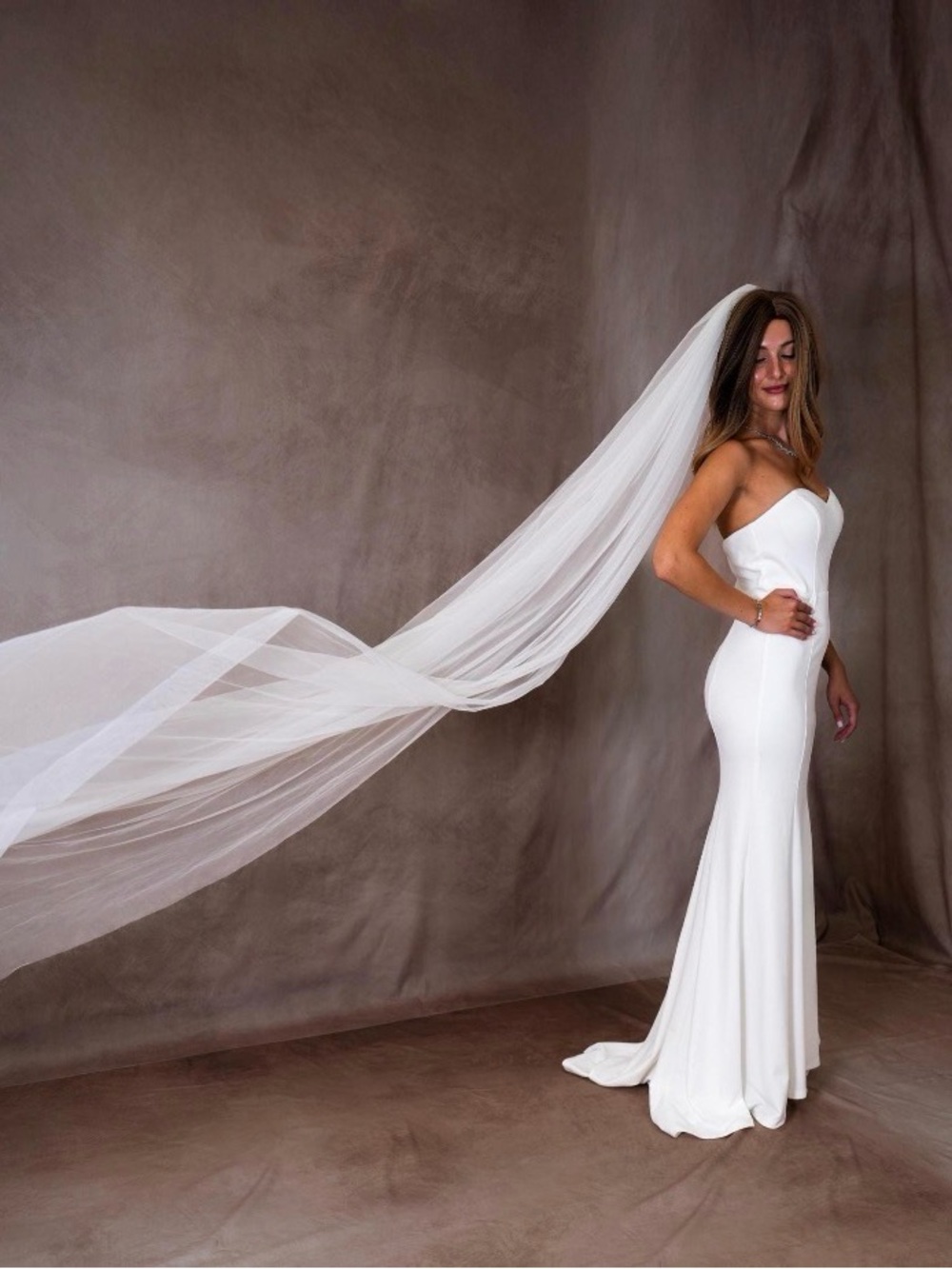 Elegant White cathedral length veil